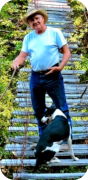 Img